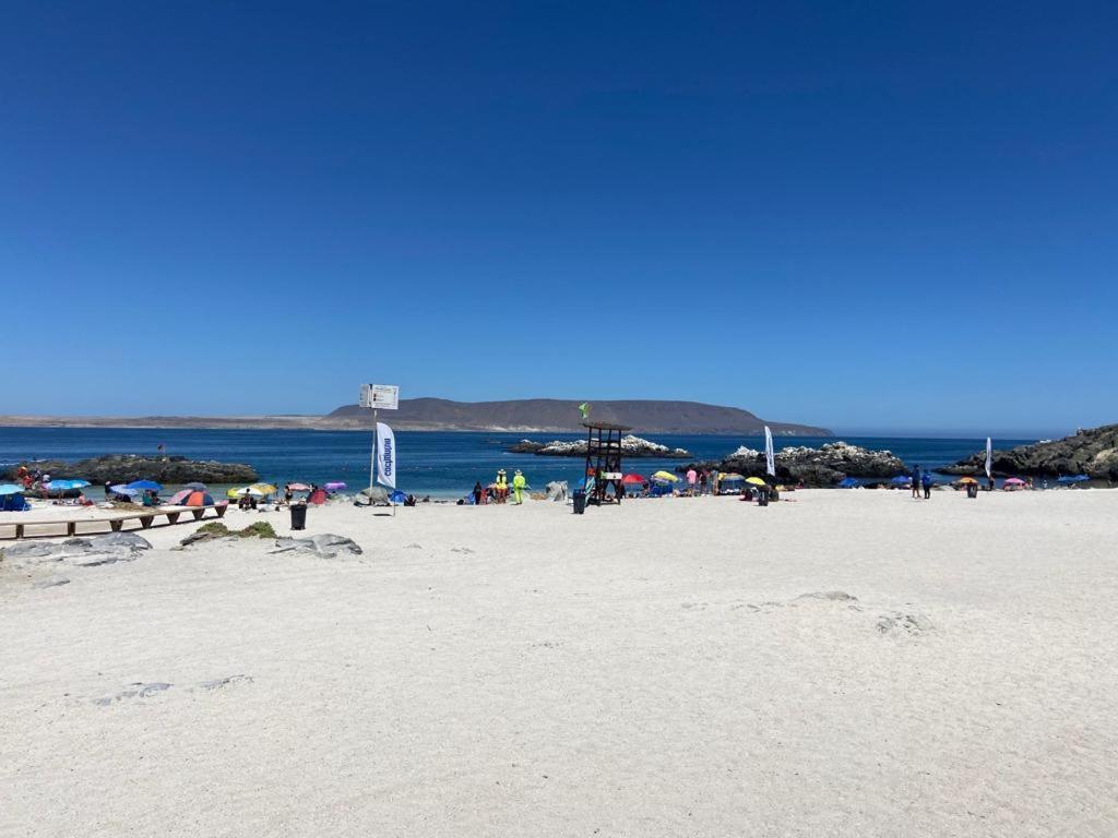 Camping Las Machas Otel Bahia Inglesa Dış mekan fotoğraf